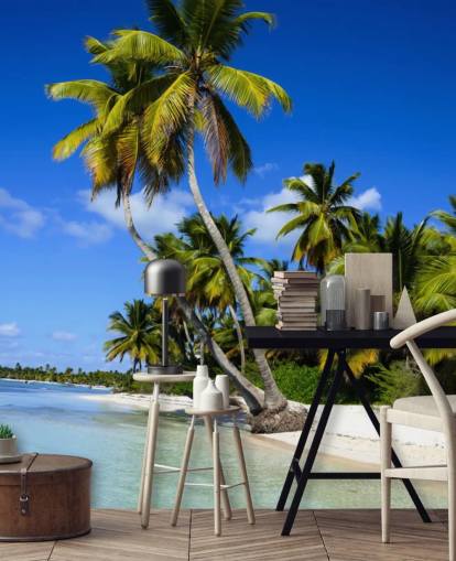 Palmeira de praia dominicana Dominican Beach Palm Tree Wallpaper Palmeira de praia dominicana Dominican Beach Palm Tree Wallpaper