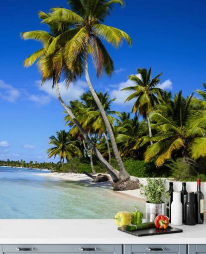 Palmeira de praia dominicana Dominican Beach Palm Tree Wallpaper 