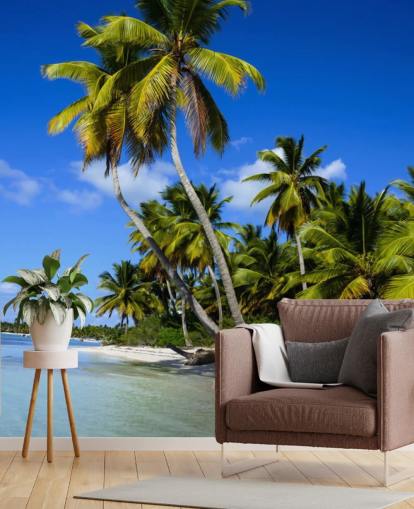 Dominican Beach Palm Tree Dominican Beach Palm Tree Wallpaper 