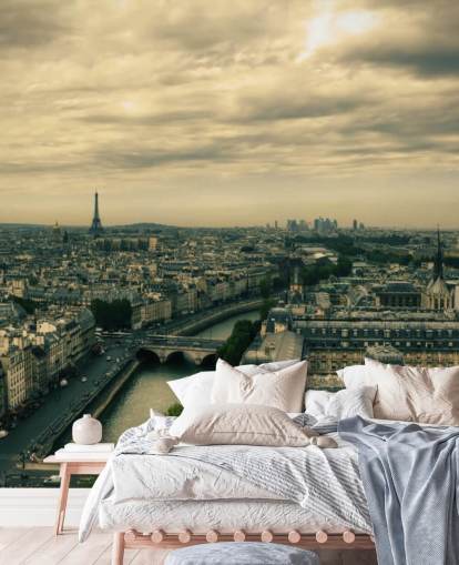 Skyline de París desde Notre Dame fondo de