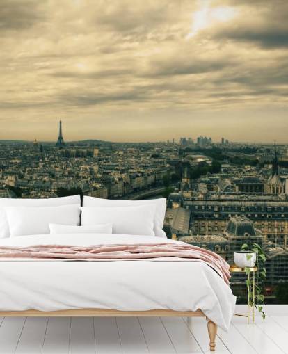 Skyline de París desde Notre Dame fondo de