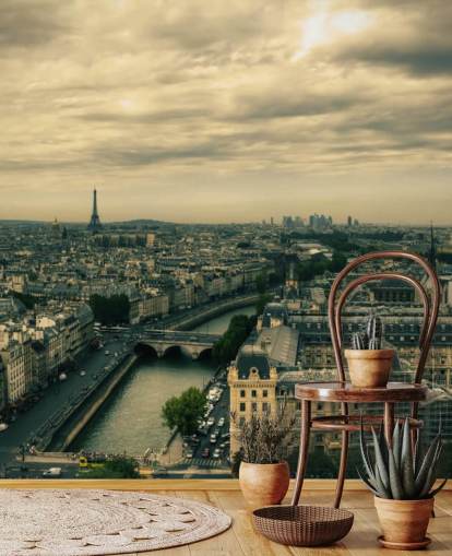 Paris Skyline from Notre Dame Wallpaper