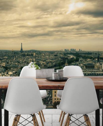 Paris Skyline from Notre Dame Wallpaper