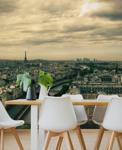 Paris Skyline from Notre Dame Wallpaper Paris Skyline from Notre Dame Wallpaper