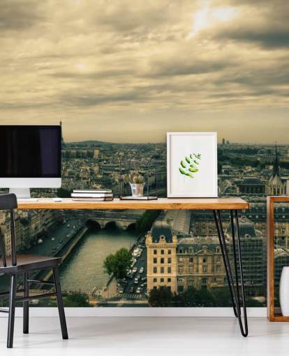 Paris Skyline from Notre Dame Wallpaper