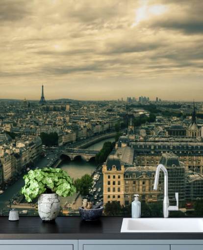 Paris Skyline fra Notre Dame Bakgrunn
