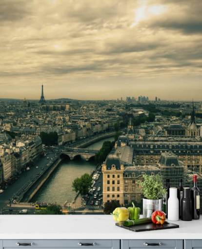 Paris Skyline from Notre Dame Wallpaper Paris Skyline from Notre Dame Wallpaper