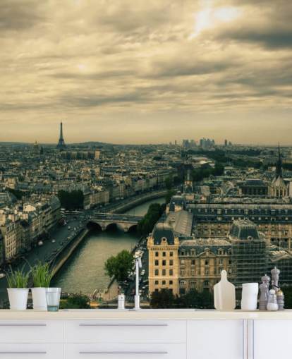 Skyline de París desde Notre Dame fondo de