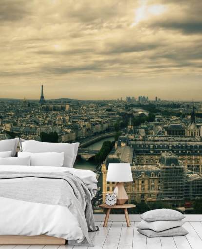 Skyline de París desde Notre Dame fondo de