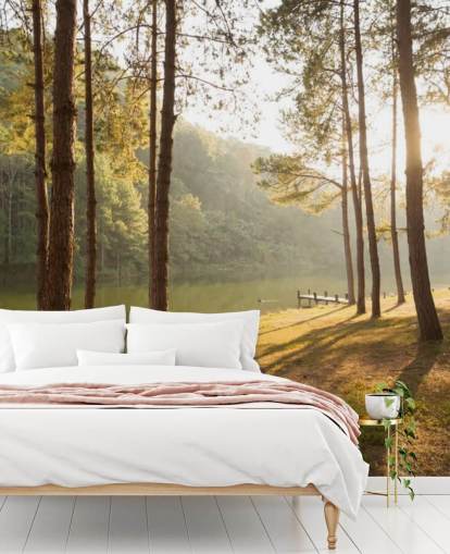 Papel de parede Forest by Lake