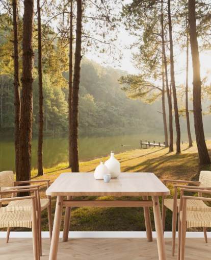 Forest by Lake Wallpaper Forest by Lake Wallpaper