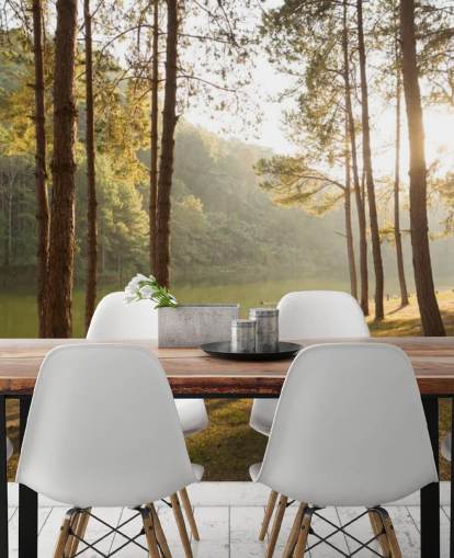 Wald von Lake Wallpaper