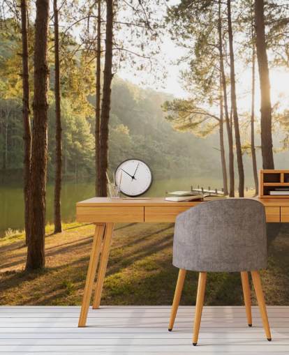 Forest ved Lake Bakgrunn