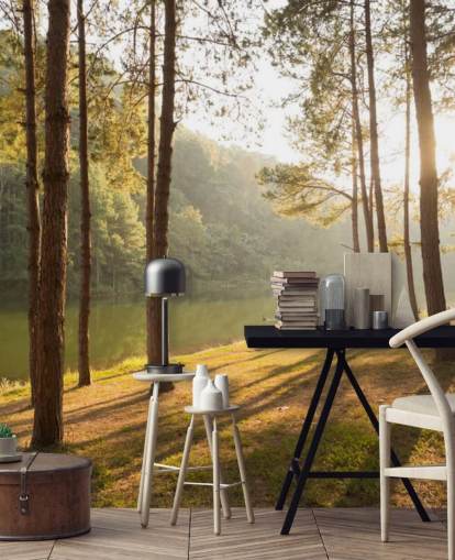 Papel de parede Forest by Lake Papel de parede Forest by Lake