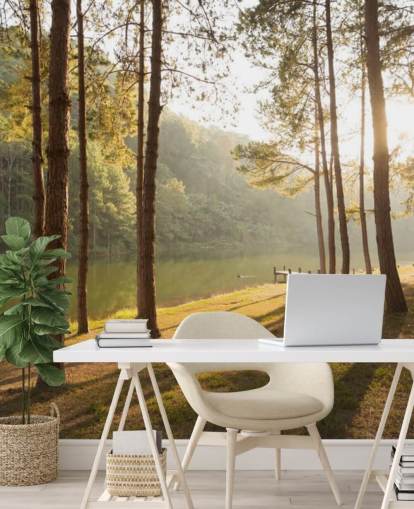 Forest ved Lake Bakgrunn