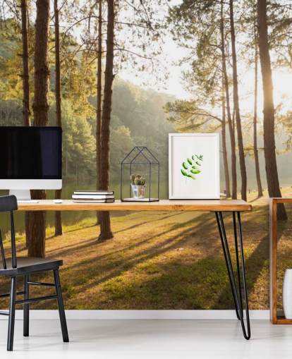 Forest by Lake Wallpaper