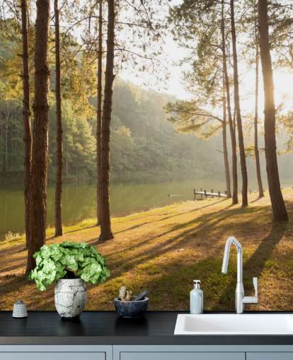 Fondo de pantalla de Forest by Lake