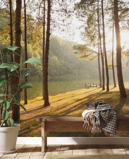 Papier Peint Forêt près du lac