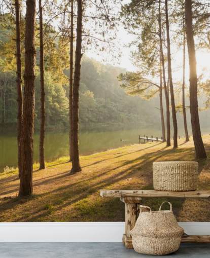 Papier Peint Forêt près du lac