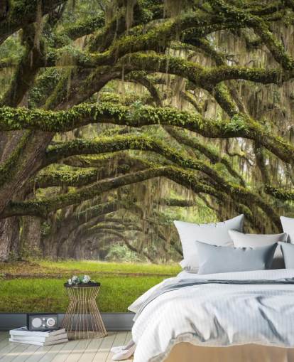 Hanging Mossy Oak Trees Tunnel Wallpaper