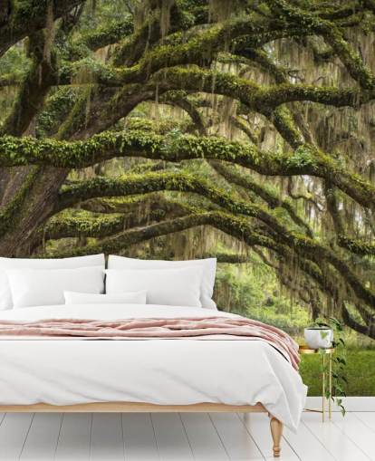 Hanging Mossy Oak Trees Tunnel Wallpaper