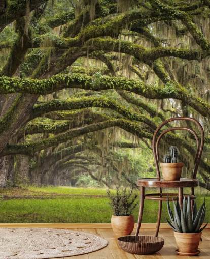 Papier peint tunnel suspendu Mossy Oak Trees