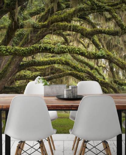 Papier peint tunnel suspendu Mossy Oak Trees