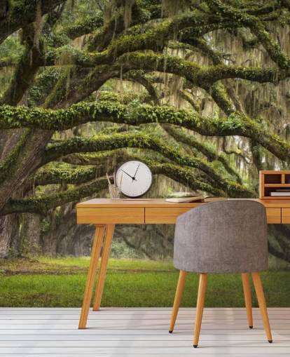 Papier peint tunnel suspendu Mossy Oak Trees