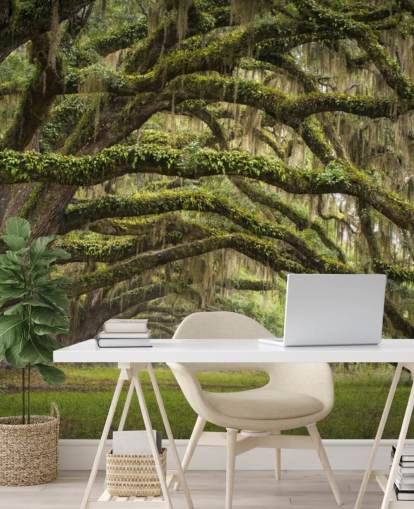 Hangende Mossy Oak Trees Tunnel Behang