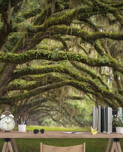 Papier peint tunnel suspendu Mossy Oak Trees Papier peint tunnel suspendu Mossy Oak Trees