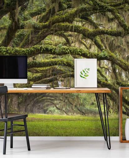 Papier peint tunnel suspendu Mossy Oak Trees