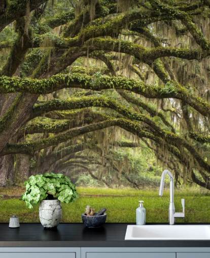 Hangende Mossy Oak Trees Tunnel Behang