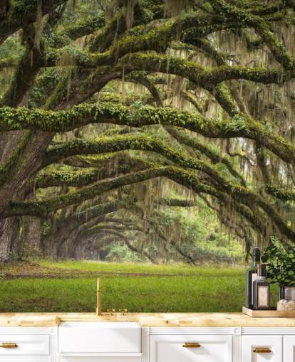 Hangende Mossy Oak Trees Tunnel Behang