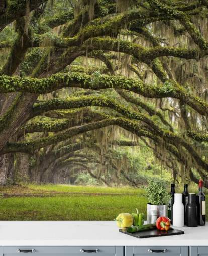 Papier peint tunnel suspendu Mossy Oak Trees Papier peint tunnel suspendu Mossy Oak Trees