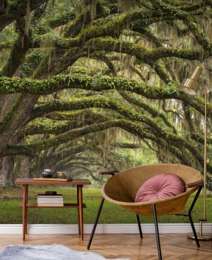 Hangende Mossy Oak Trees Tunnel Behang