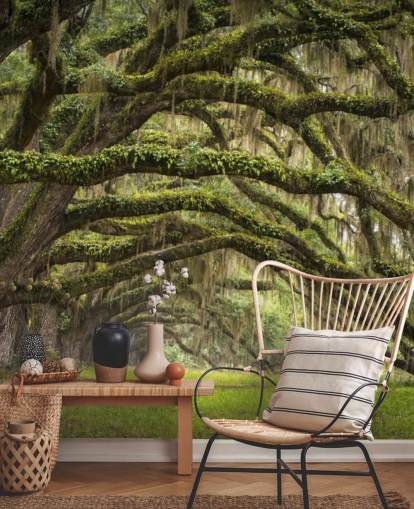 Hanging Mossy Oak Trees Tunnel Wallpaper