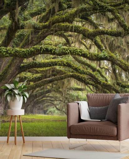 Hanging Mossy Oak Trees Tunnel Wallpaper