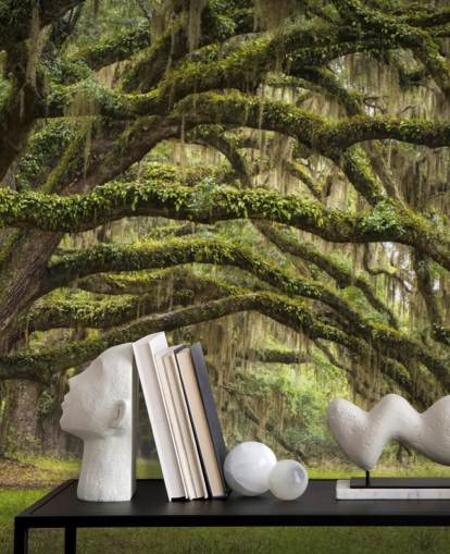 Papier peint tunnel suspendu Mossy Oak Trees