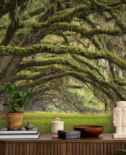 Hanging Mossy Oak Trees Tunnel Wallpaper