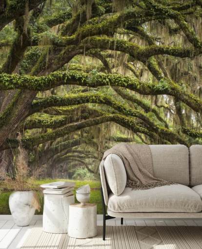 Hanging Mossy Oak Trees Tunnel Wallpaper Hanging Mossy Oak Trees Tunnel Wallpaper