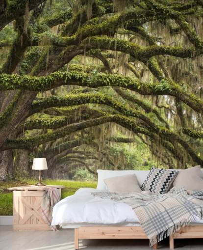 Hangende Mossy Oak Trees Tunnel Behang