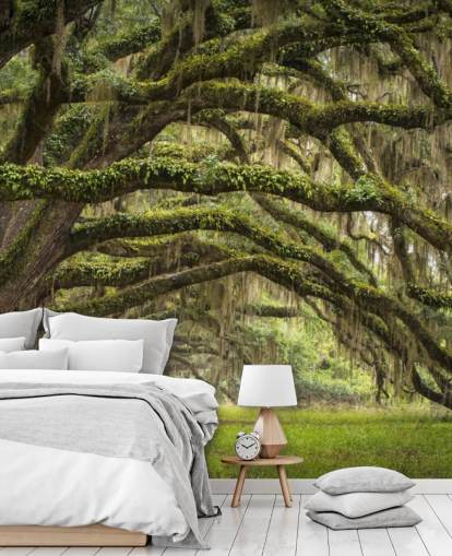 Papier peint tunnel suspendu Mossy Oak Trees