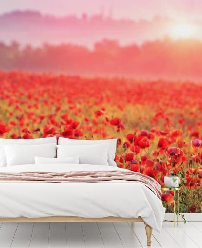 rotes Blumentapetenwandbild namens Red Poppy Sunrise für Lounges und Schlafzimmer