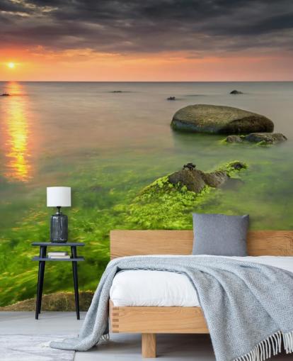 Rocky Seasweed Wallpaper Rocky Seasweed Wallpaper