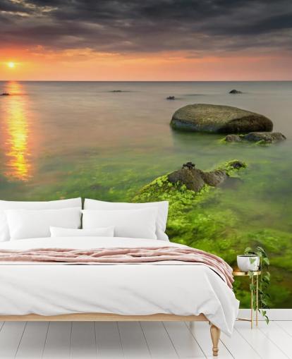 Rocky Seasweed Wallpaper Rocky Seasweed Wallpaper