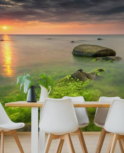 Papel Pintado Rocky Seasweed