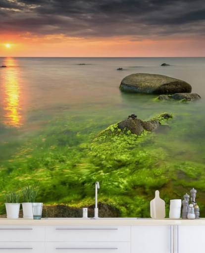 Rocky Seasweed Wallpaper Rocky Seasweed Wallpaper