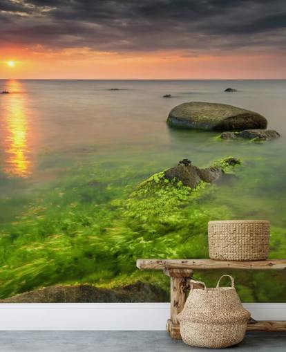Rocky Seasweed Bakgrund Rocky Seasweed Bakgrund