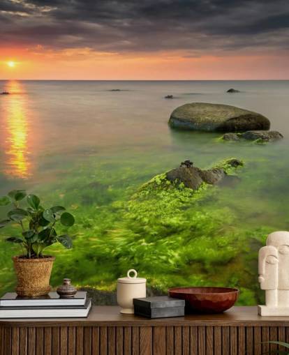 Papel Pintado Rocky Seasweed