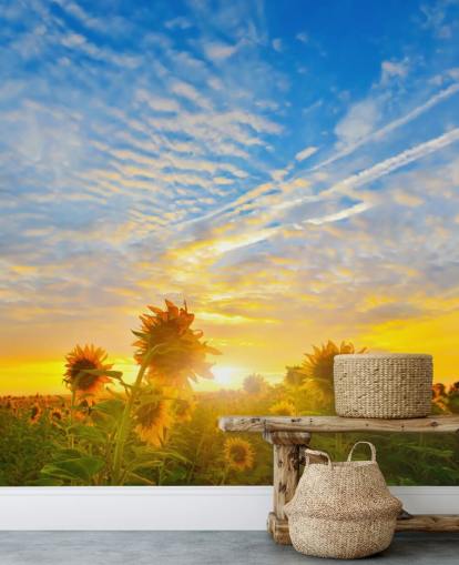 Sunflowers at Sunrise Wall Mural Sunflowers at Sunrise Wall Mural